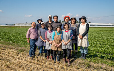 有限会社三菜寿のブログを新しく始めました。